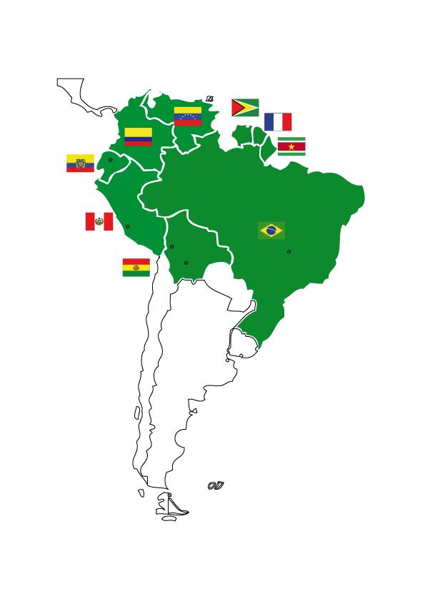 coica-mapa