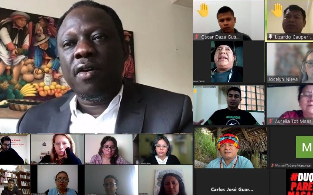Representantes de COICA se reúnen con Relator Especial sobre el derecho a la libertad de reunión pacífica y de asociación de Naciones Unidas