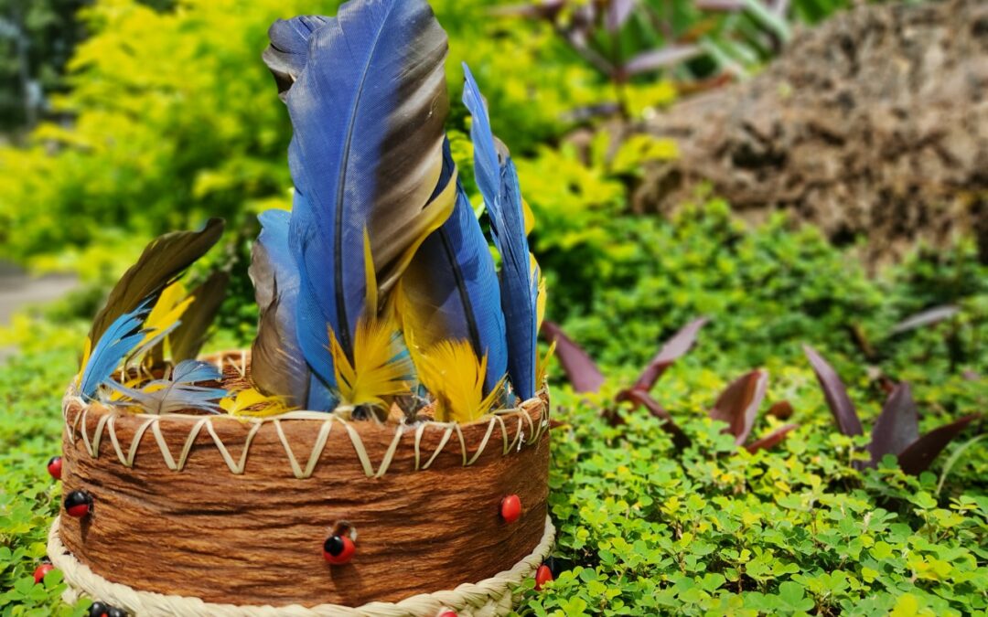 LOS PUEBLOS INDÍGENAS DE LA AMAZONÍA VENEZOLANA SE PRONUNCIAN FRENTE A LAS AMENAZAS QUE ACECHAN SUS TERRITORIOS.