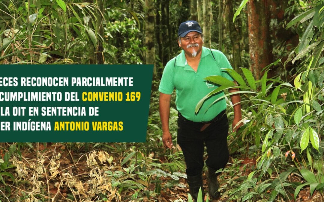 JUECES RECONOCEN PARCIALMENTE EL CUMPLIMIENTO DEL CONVENIO 169 DE LA OIT EN SENTENCIA DE LÍDER INDÍGENA ANTONIO VARGAS