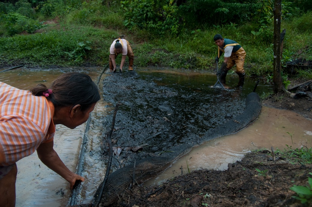 Los bancos que financian la industria petrolera y gasífera en la Amazonía reprueban una evaluación que mide el nivel de cumplimiento de sus compromisos de sustentabilidad y gestión de riesgos
