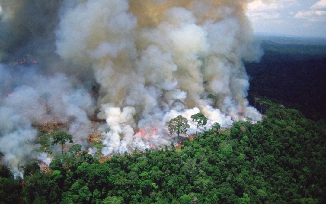 Principales científicos amazónicos lanzan un llamado urgente a la acción en el Amazonas