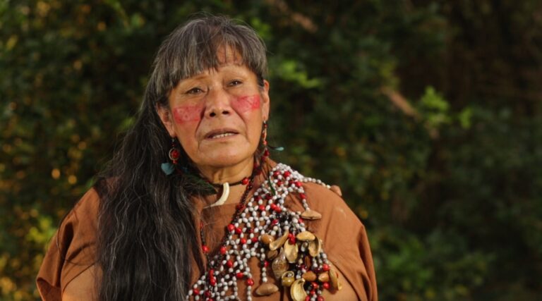 mujer_indigena_amazonia_COICA