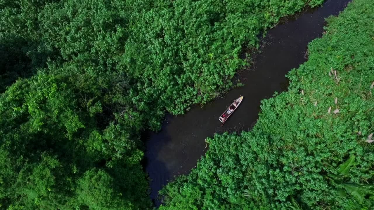 AMAZONÍA: Un ecosistema con Pueblos indígenas, Territorios y Derechos