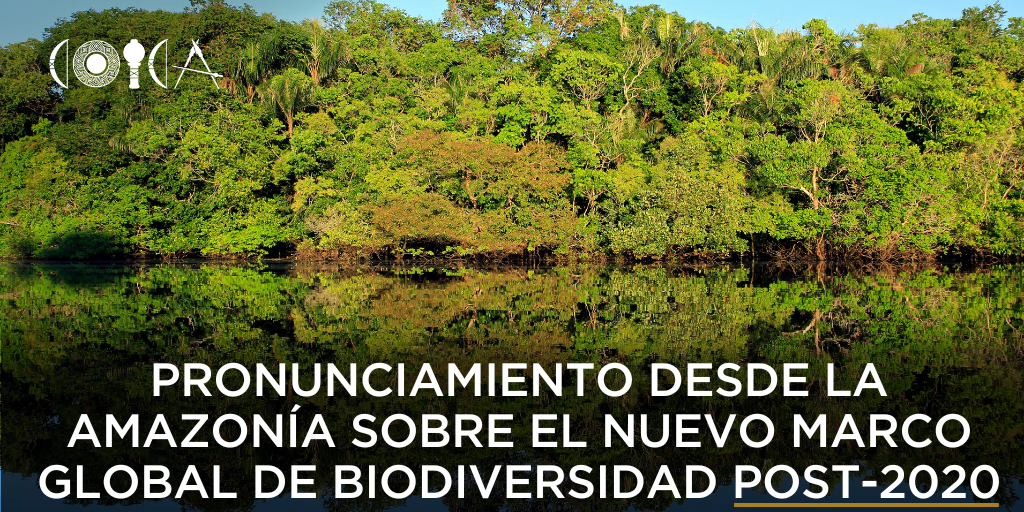 PRONUNCIAMIENTO DESDE LA AMAZONÍA SOBRE EL NUEVO MARCO GLOBAL DE BIODIVERSIDAD POST-2020