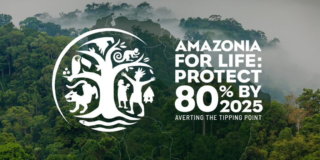 Resolución 129: Evitar el punto de no retorno en la Amazonía protegiendo el 80% al 2025, ¿Dónde estamos?