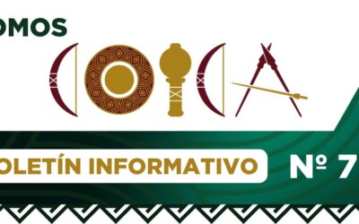 Boletín informativo 7