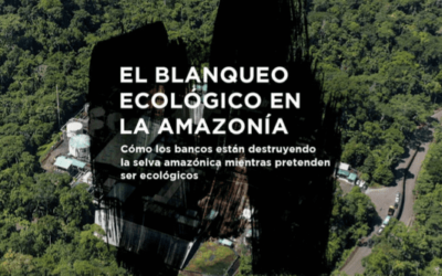 EL BLANQUEO ECOLÓGICO EN LA AMAZONÍA