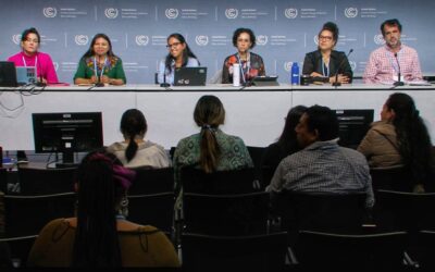 Representando nuestra voz, en La conferencia  de la Convención Marco de la ONU sobre el Cambio Climático SB60