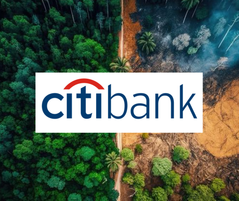 Citibank responde a la presión de líderes Indígenas y organizaciones ambientales con una nueva política para la Amazonía