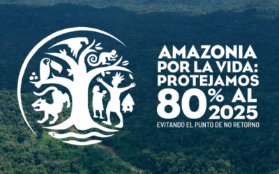 Evitar el Punto de No Retorno en la Amazonía: Una Llamada Urgente al Parlamento Europeo