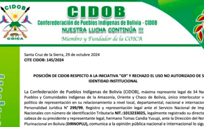 CIDOB denuncia el uso no autorizado de su identidad institucional