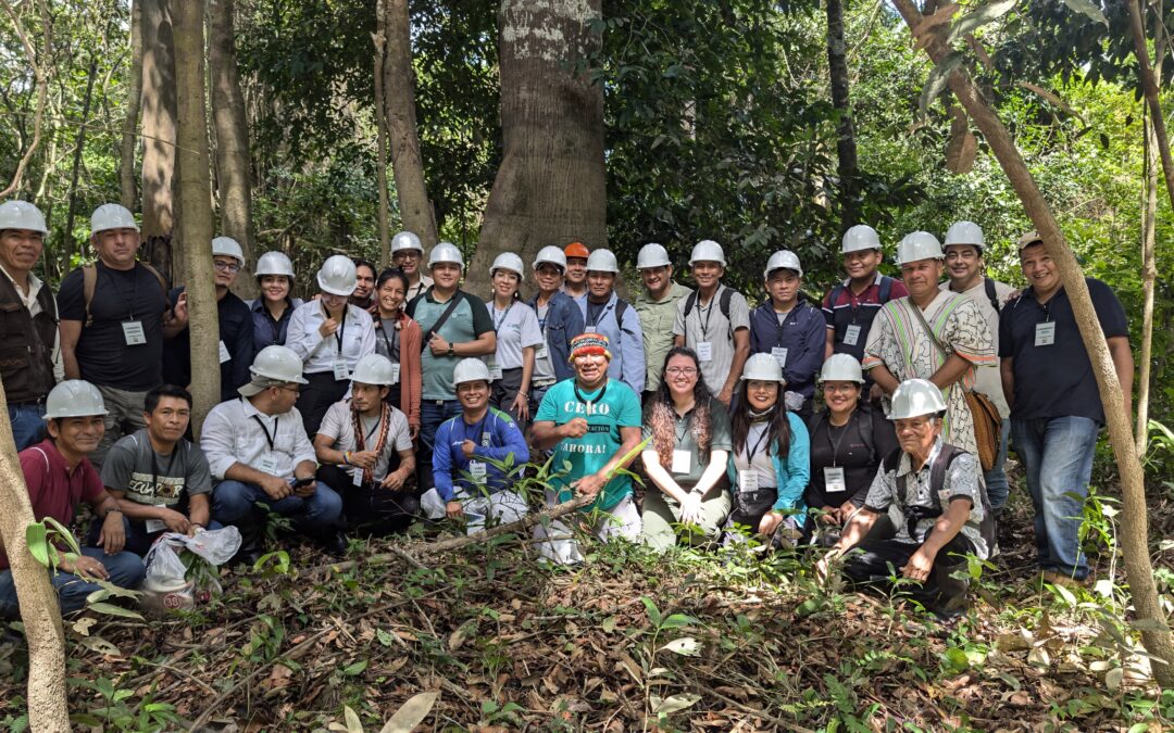 COICA acompaña el fortalecimiento en manejo forestal sostenible en la Amazonía