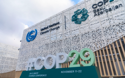 COP29 y el Nuevo Objetivo de Financiamiento Climático