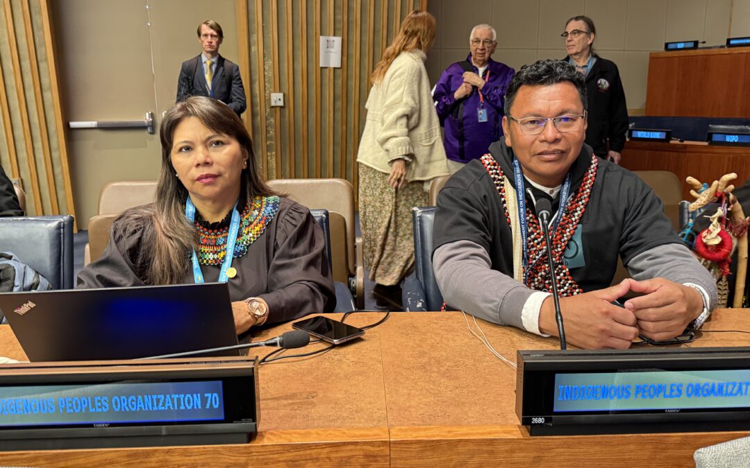 COICA exhorta al Foro Permanente de la ONU a garantizar la implementación plena y vinculante de los derechos de los pueblos indígenas