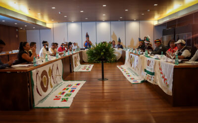 COICA convoca Consejo de Coordinación en Brasilia: unidad indígena frente a los desafíos globales