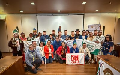 COICA presenta sus propuestas para proteger la Amazonía en la V Cumbre de Presidentes de la OTCA