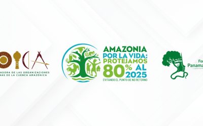 COICA y FOSPA llaman a proteger el 80% de la Amazonía al 2025 en la V Cumbre Amazónica