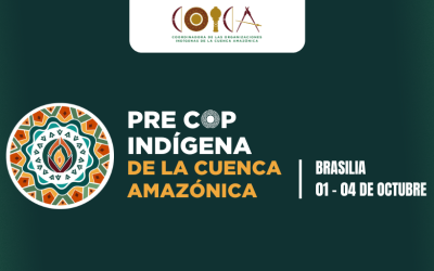 Pre COP Indígena de la Cuenca Amazónica