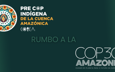 Rumbo a la COP30