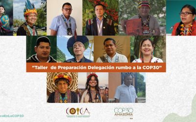 COICA CAMINO A LA COP 30