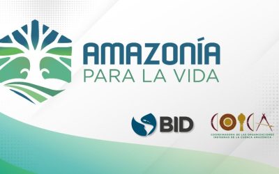 El Fondo Amazonía para la Vida marca un antes y un después en el acceso directo a fondos