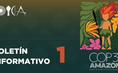 Líderes indígenas en la COP30