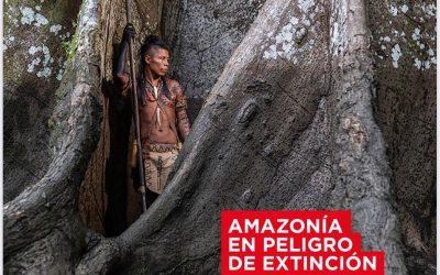 AMAZONÍA EN PELIGRO DE EXTINCIÓN