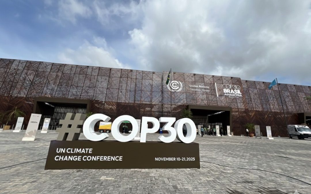 Mandato de la Amazonía