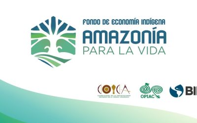 COICA, OPIAC y BID fortalecen la bioeconomía indígena en Colombia