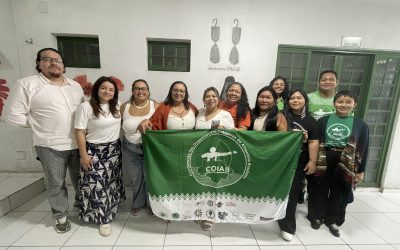 COICA y COIAB fortalecen articulación regional para construir indicadores indígenas amazónicos y defender la cuenca como unidad territorial