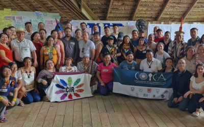 COICA fortalece la articulación regional