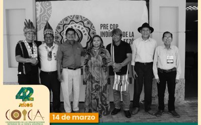 COICA: 42 años de lucha por la Amazonía y los pueblos indígenas