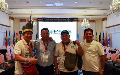 PROPUESTAS DE LA COICA A LOS PROYECTOS DE DECISIÓN DE LA COP 4