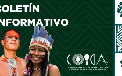 PROPUESTAS DE LA COICA A LOS PROYECTOS DE DECISIÓN DE LA COP 4