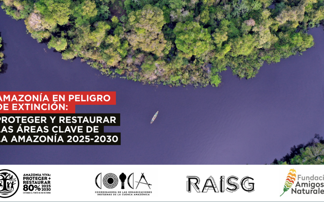 Amazonía en peligro: 136 millones de hectáreas destruidas y riesgo de punto de no retorno