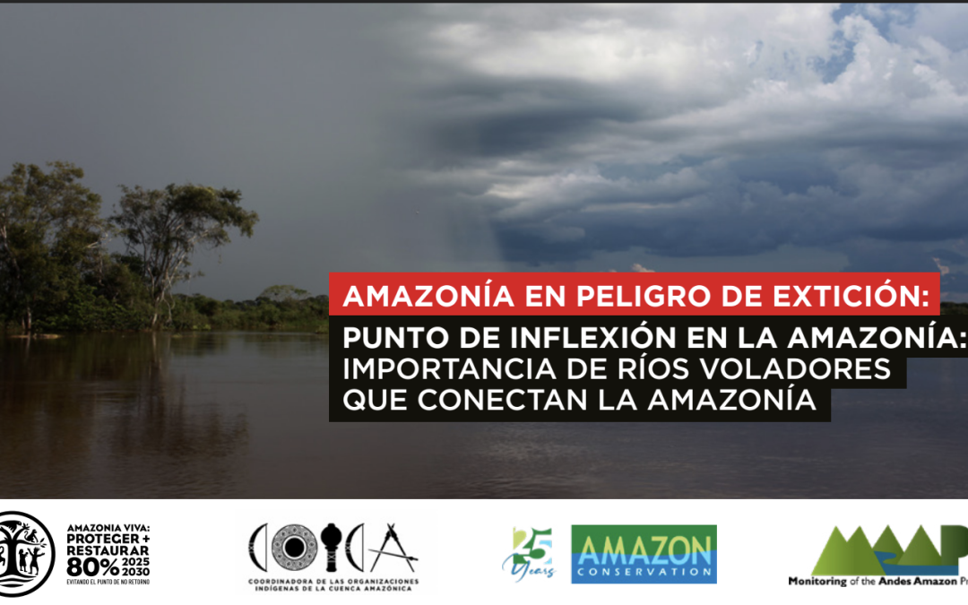 Punto de NO retorno en la Amazonía: los ríos voladores que sostienen la vida están en riesgo