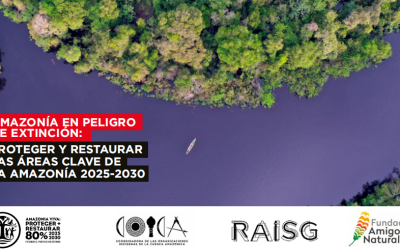 PROTEGER Y RESTAURAR LAS ÁREAS CLAVE DE LA AMAZONÍA 2025-2030
