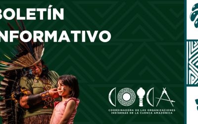 COICA fortalece la protección de defensoras y defensores indígenas con el lanzamiento de la plataforma regional del PDDD