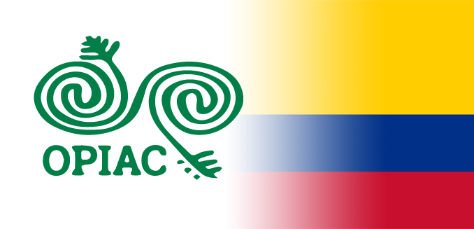 Transformación institucional de COICA