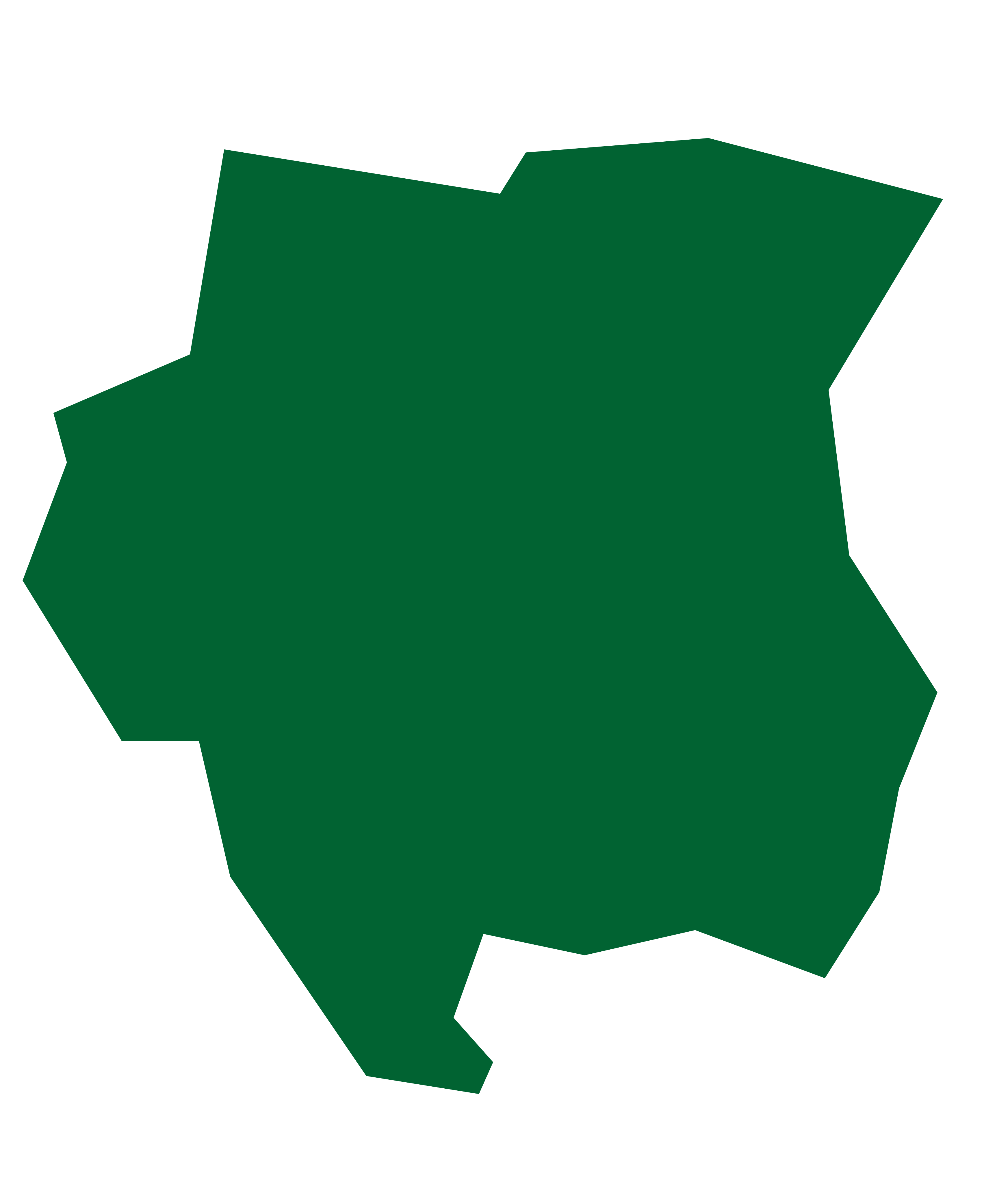 Mapa de Surinam