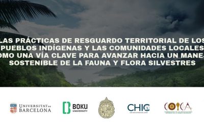 Prácticas de resguardo territorial de los pueblos indígenas y las comunidades locales